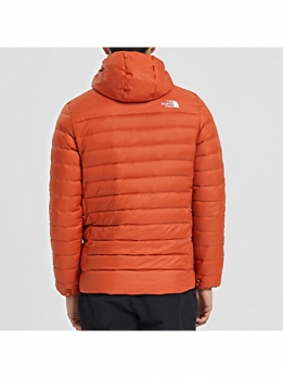Пуховик мужской зимний The North Face 6907096160936