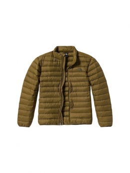 Пуховик городской мужской The North Face 196246216579