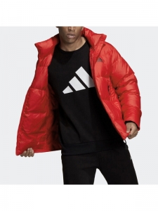 Куртка утепленная мужская для повседневной носки Adidas 4064054052039