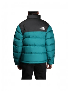 Пуховик универсальный для холодной погоды The North Face 1992 Collection