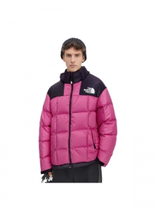 Пуховик мужской повседневный The North Face 1990 Collection 196246201773