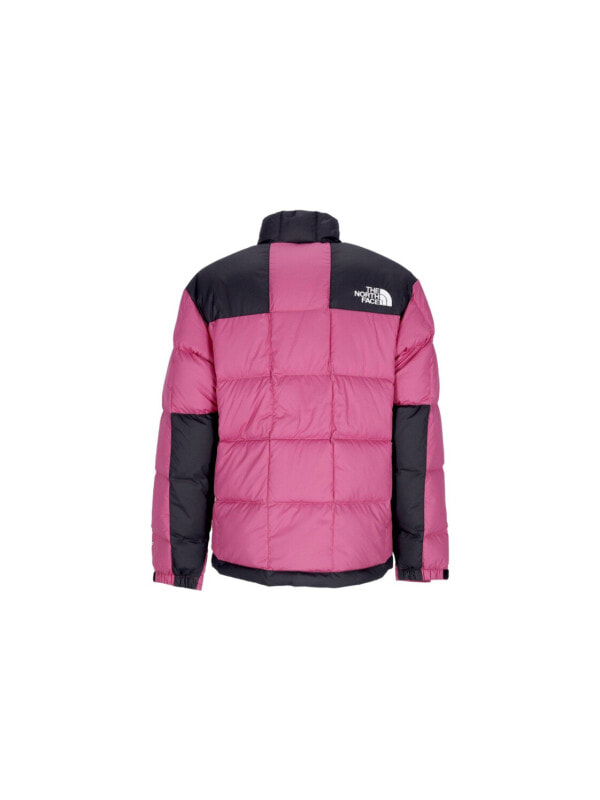 Пуховик мужской повседневный The North Face 1990 Collection 196246201773