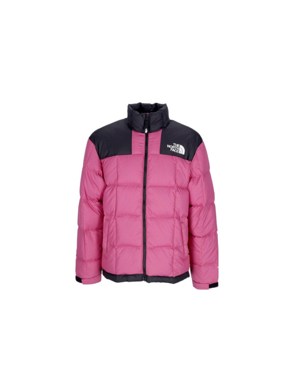 Пуховик мужской повседневный The North Face 1990 Collection 196246201773