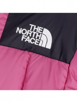 Пуховик мужской повседневный The North Face 1990 Collection 196246201773