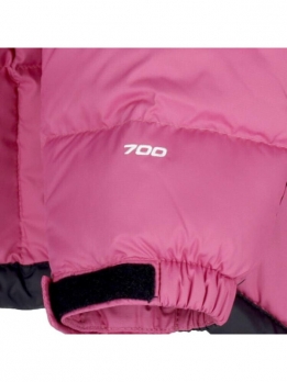 Пуховик мужской повседневный The North Face 1990 Collection 196246201773