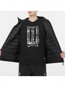 Куртка утепленная зимняя мужская Adidas 4064053801775