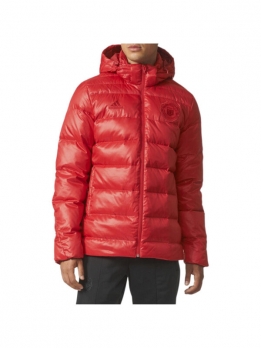 Куртка пуховая мужская для повседневной носки Adidas 4058032423638