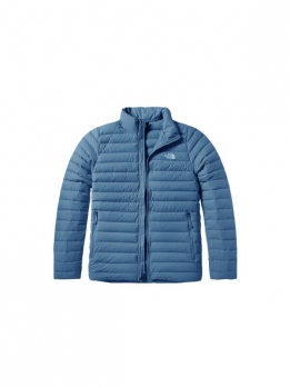 Куртка пуховая мужская для повседневной носки the north face 193393615361
