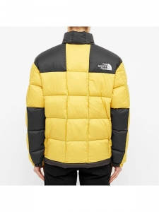 Куртка утепленная мужская для активного отдыха the north face 679894369359