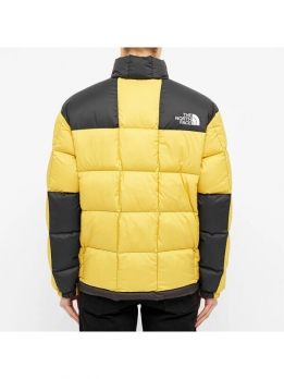 Куртка утепленная мужская для активного отдыха the north face 679894369359