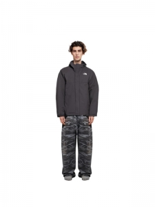 Куртка мужская утепленная повседневная The North Face 192448