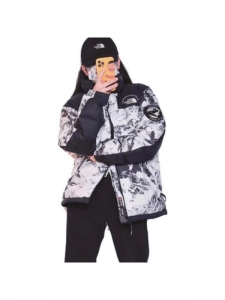 Куртка зимняя унисекс для отдыха the north face 1000004146833