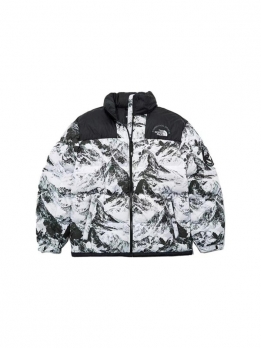 Куртка зимняя унисекс для отдыха the north face 1000004146833