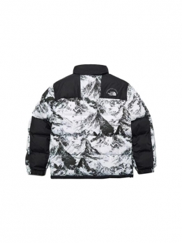 Куртка зимняя унисекс для отдыха the north face 1000004146833