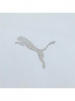 Пуховик утепленный мужской повседневный Puma 598592