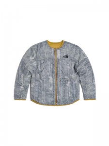 Пуховик утепленный мужской для повседневной носки The North Face UE Series