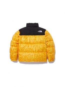 Пуховик универсальный повседневный The North Face Nuptse