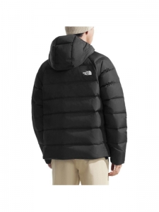 Пуховик городской мужской The North Face 197643119425