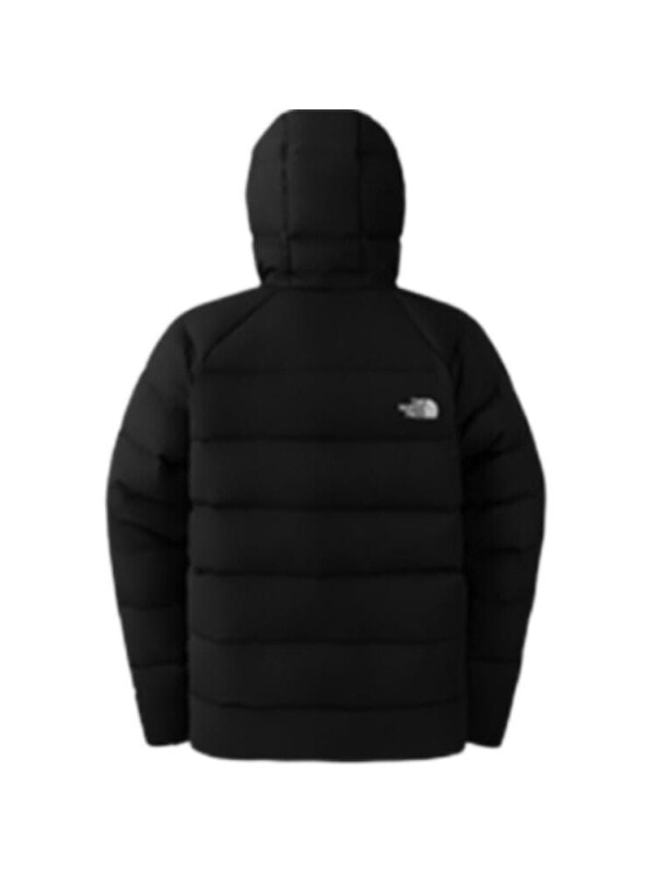 Пуховик городской мужской The North Face 197643119425