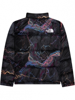 Куртка утепленная мужская для повседневной носки The North Face Nuptse 700 Fill Packable 1996 Retro