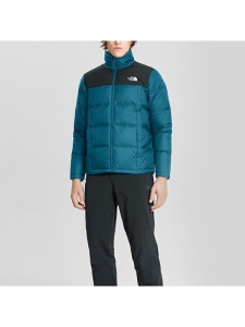 Пуховик мужской для города The North Face 194904100703
