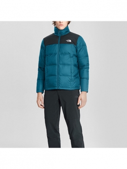 Пуховик мужской для города The North Face 194904100703