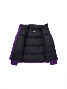 Пуховик теплый мужской универсальный The North Face M1996RNUXPKL