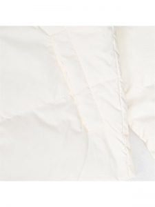 Куртка утепленная мужская для повседневной носки Converse 6901540993682