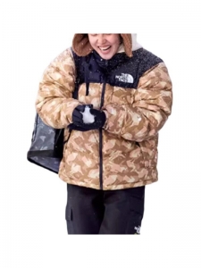 Пуховка повседневная унисекс The North Face T05091884357