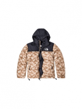 Пуховка повседневная унисекс The North Face T05091884357