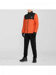 Пуховик зимний мужской для города The North Face 195437122828