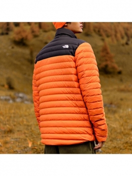 Пуховик зимний мужской для города The North Face 195437122828