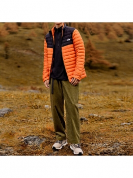 Пуховик зимний мужской для города The North Face 195437122828