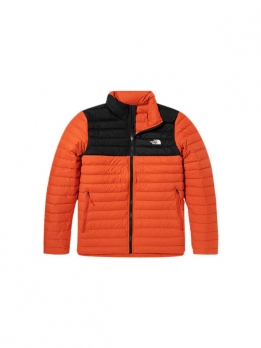 Пуховик зимний мужской для города The North Face 195437122828