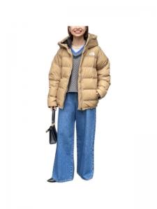 Парка мужская зимняя для города The North Face 4580777938219