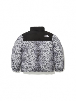 Пуховик унисекс зимний повседневный The North Face Novelty Nuptse Down Jacket P Silver