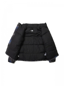 Куртка утепленная мужская для повседневной носки The North Face 1996 Novelty Nuptse Jacket