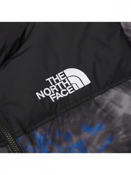 Куртка утепленная мужская для повседневной носки The North Face 1996 Novelty Nuptse Jacket