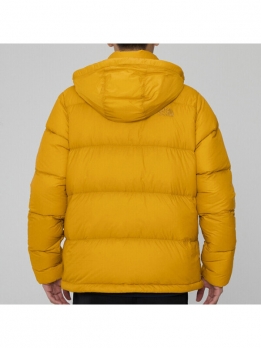 Пуховик городской мужской для повседневной носки the north face fw21