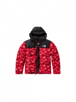 Пуховик унисекс городской The North Face 196011637479