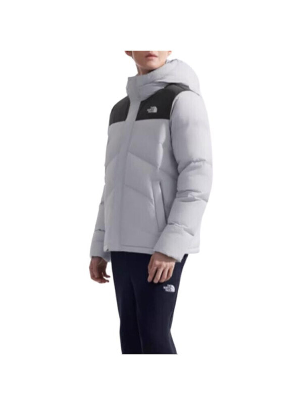 Куртка зимняя мужская утепленная для города the north face 197643118602