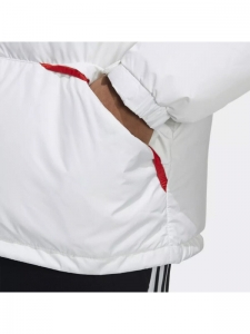 Куртка зимняя мужская Adidas 4064053824828