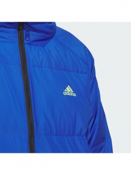 Куртка зимняя мужская для активного отдыха Adidas 4066759039377