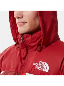 Куртка утепленная женская для повседневной носки The North Face 1996 Retro Nuptse Ic Geo Print