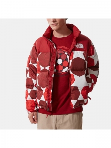 Куртка утепленная женская для повседневной носки The North Face 1996 Retro Nuptse Ic Geo Print