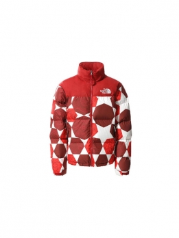 Куртка утепленная женская для повседневной носки The North Face 1996 Retro Nuptse Ic Geo Print