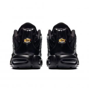 Nike Air Max Plus (604133-050)