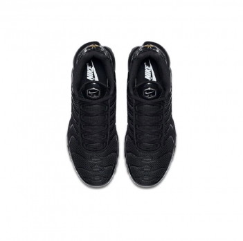 Nike Air Max Plus (604133-050)