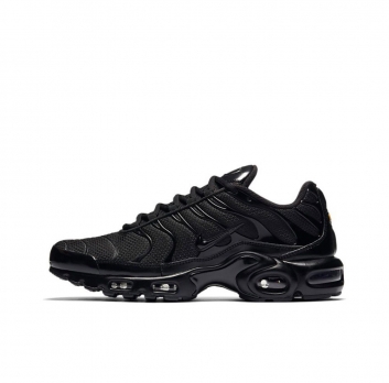 Nike Air Max Plus (604133-050)