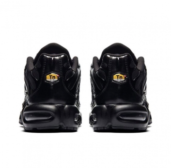 Nike Air Max Plus (604133-050)